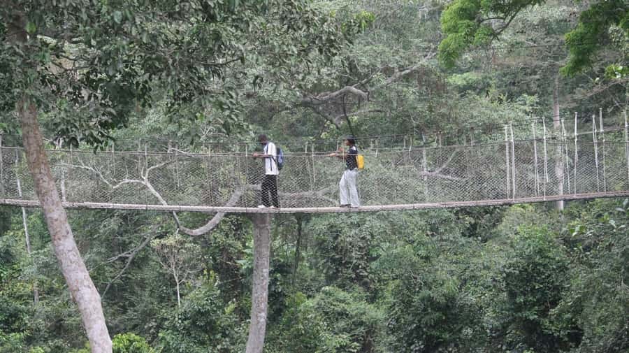 Cape Coast: Kakum National Park, Castles, & Hans Cottage - Leaving Accra for the Central Region