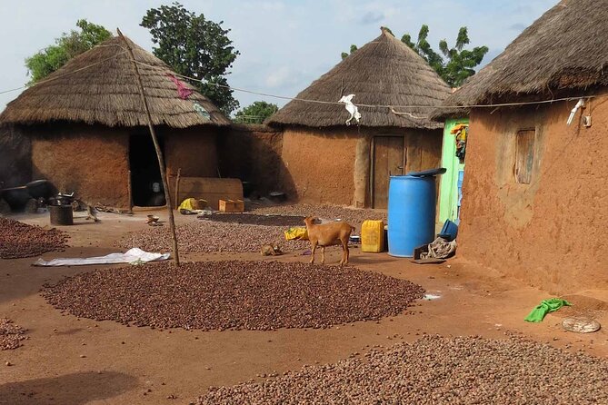 Cultural Village Tour: Traditional Naming Ceremony - Key Points to Know Before You Book