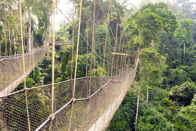 Day Tour to Kakum National Park, Cape Coast and Elmina Castles - Kakum National Park and the 100-foot canopy walkway