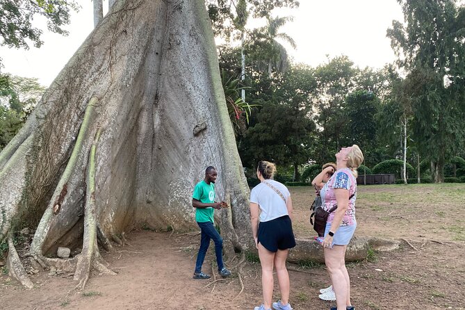 Day Trip Near Accra - Visit Aburi Gardens, Waterfall & Cocoa Farm - Key Points Before You Book