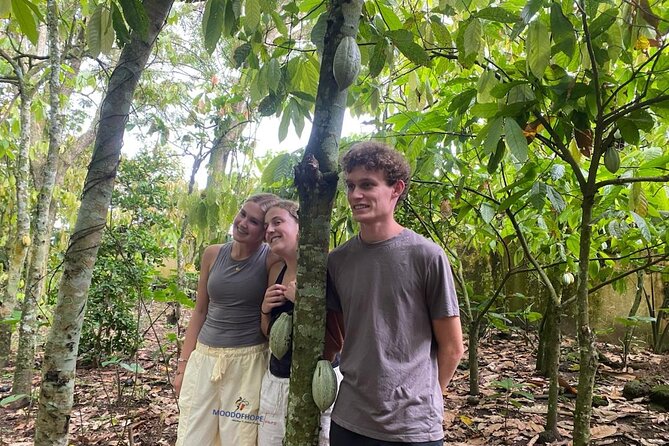 Day Trip Near Accra - Visit Aburi Gardens, Waterfall & Cocoa Farm - A Traditional Buffet Lunch Before Hotel Drop-Off