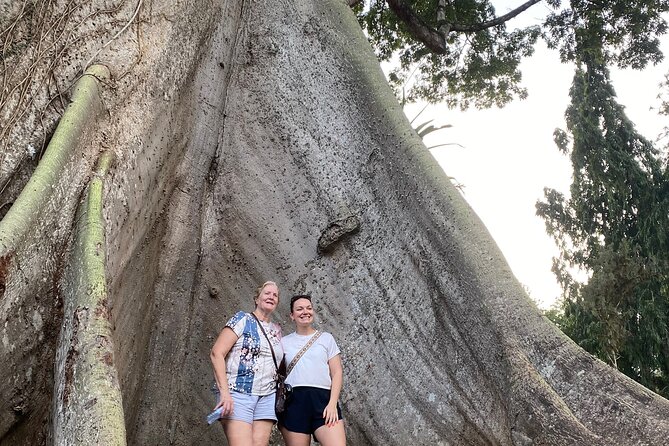 Day Trip Near Accra - Visit Aburi Gardens, Waterfall & Cocoa Farm - Is $179 a Fair Price for This Private Trip?