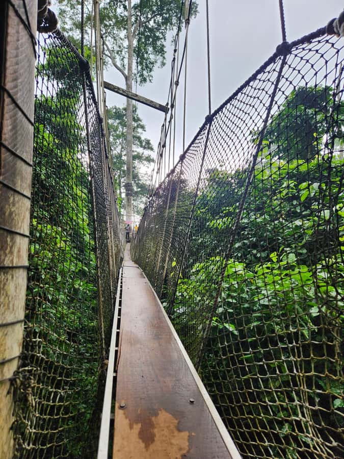 Discover Cape Coast and Elmina Castle with Kakum - Leaving Accra in a small air-conditioned car