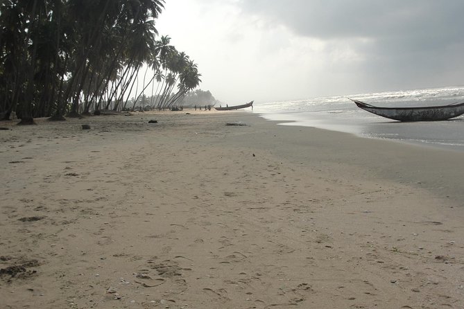 Discover Ghana in 8 days - Day 7: Kakum’s canopy walkway and local industry