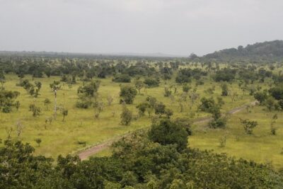 Discover Nature at Shai Hills