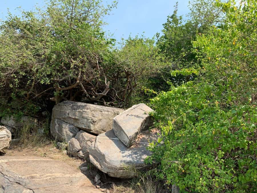 Discover Nature at Shai Hills - Adventure Full Day Trip - Why Shai Hills makes a useful Ghana day trip