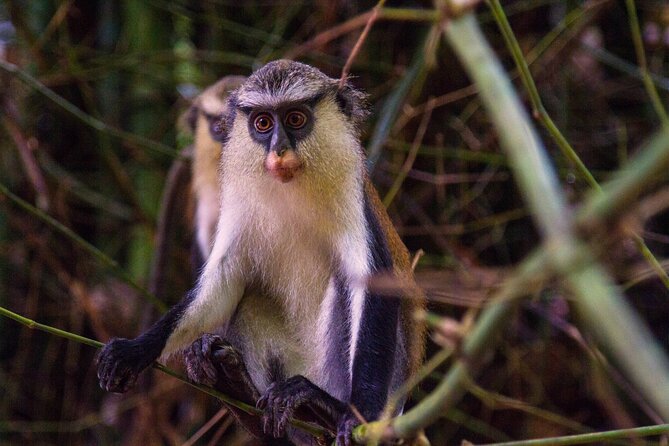 Eco Volta Expedition - Key points before you book