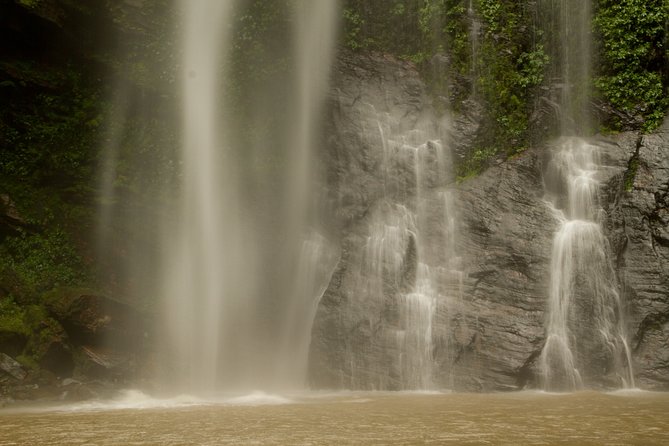 Eco Volta Expedition - Tafi Atome Monkey Sanctuary and Cultural Village