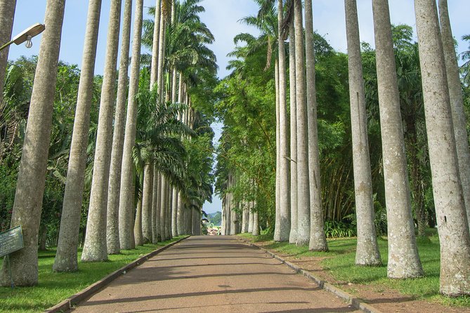 Escape Accra City to Aburi Gardens and Tetteh Quarshie Cocoa Farms - Why this trip works as an Accra escape