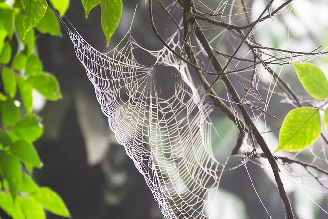 Escape Accra City to Aburi Gardens and Tetteh Quarshie Cocoa Farms - Aburi views and the final craft stop