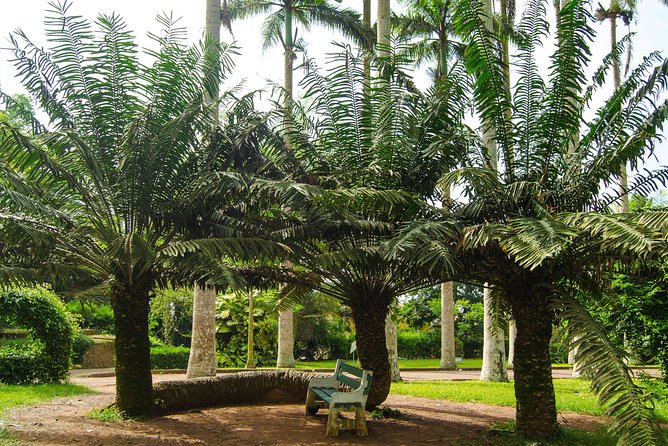 Escape Accra City to Aburi Gardens and Tetteh Quarshie Cocoa Farms - The private vehicle and guide experience