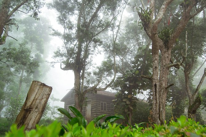 Escape Accra City to Aburi Gardens and Tetteh Quarshie Cocoa Farms - How much value do you get for $170?