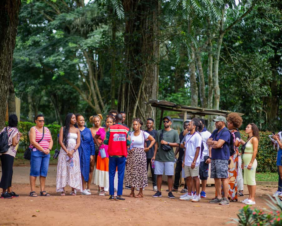 Experience Boti Twin Waterfalls, Umbrella Rock, 3H-Palm Tree - What the $250 price really includes