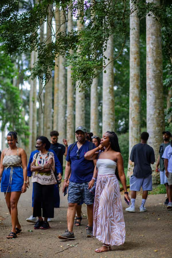 Experience Boti Twin Waterfalls, Umbrella Rock, 3H-Palm Tree - Walking, swimming, and what to pack