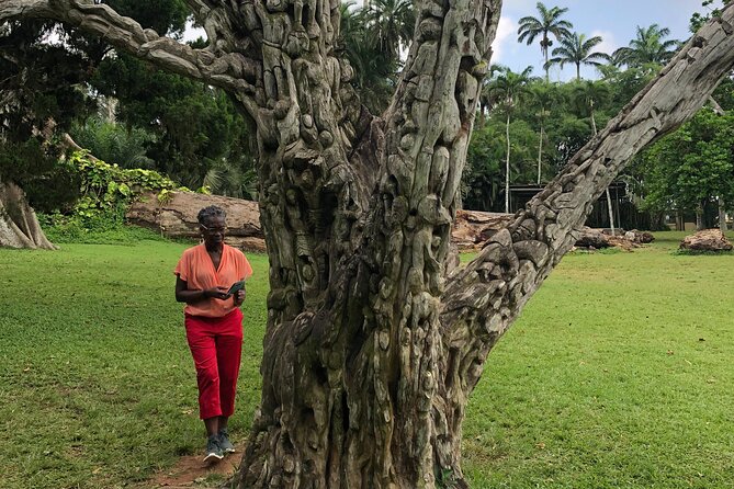 Experience Boti Waterfalls, Aburi Botanical Gardens & Tetteh Quarshie Cocoa Farm - Is $175 fair for a private day out?