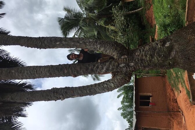 Experience Boti Waterfalls, Aburi Botanical Gardens & Tetteh Quarshie Cocoa Farm - Should you book Boti, Aburi, and the cocoa farm?
