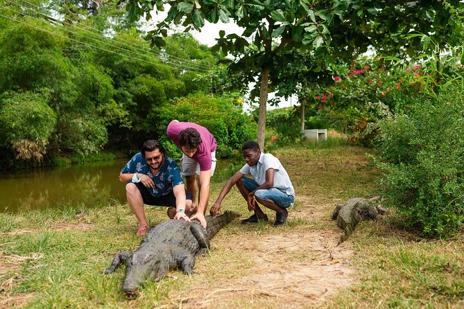Experience Cape Coast Castle and Kakum National Park - Seven bridges at Kakum National Park