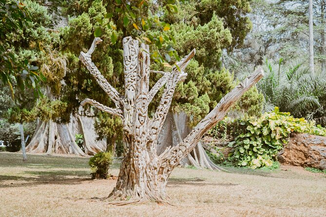 Explore Aburi Botanical Gardens And Boti Falls - Aburi Botanical Gardens: a calmer final chapter