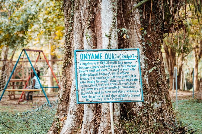 Explore Aburi Botanical Gardens And Boti Falls - Who will enjoy this tour most?