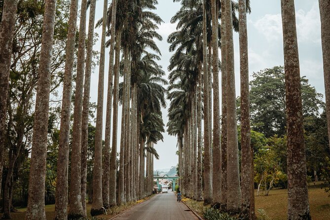 Explore Aburi Botanical Gardens And Boti Falls - Boti Falls: the trip’s most dramatic stop