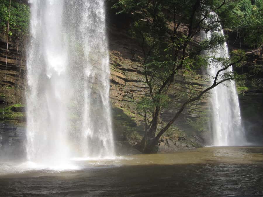 From Accra: Boti Falls Guided Day Trip with Entry and Snacks - The 7:00 a.m. departure from Accra