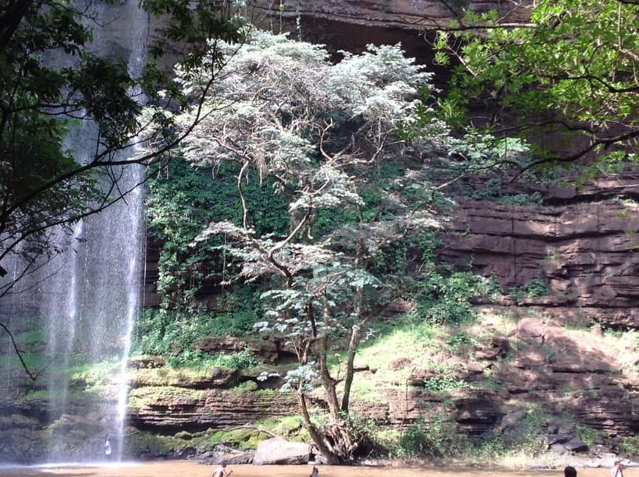 From Accra: Boti Falls Guided Day Trip with Entry and Snacks - The 250-step descent to Boti Falls