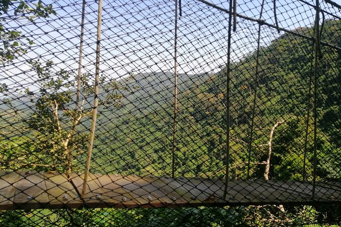 Full-Day Volta Experience ( Mount Gemi and Monkey Sanctuary) Private Tour - Key points at a glance