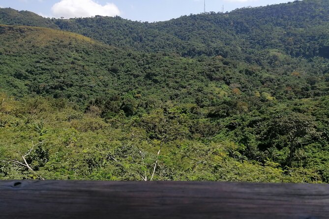 Full-Day Volta Experience ( Mount Gemi and Monkey Sanctuary) Private Tour - Leaving Accra for the Volta Region