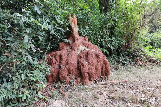 Full-Day Volta Experience ( Mount Gemi and Monkey Sanctuary) Private Tour - How much of the day is spent on the road?