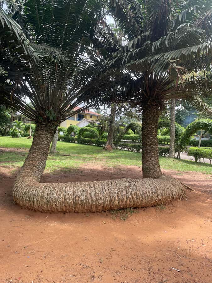 Ghana: 3 Days Sightseeing - Key points to know before booking