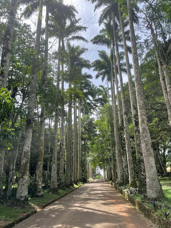 Ghana: 3 Days Sightseeing - Cape Coast and the difficult story of slavery