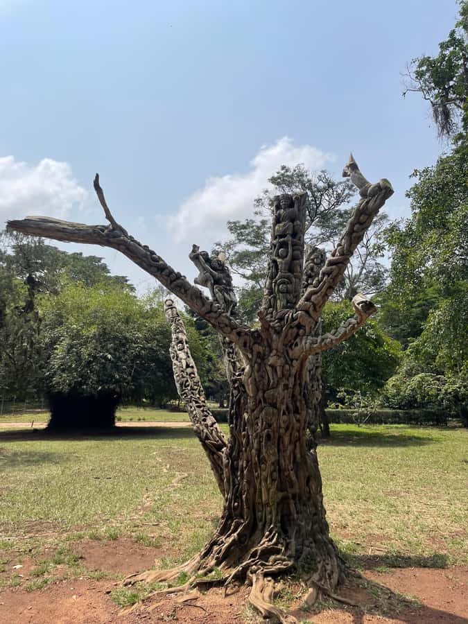Ghana: 3 Days Sightseeing - Aburi: a change of pace and a nature stop