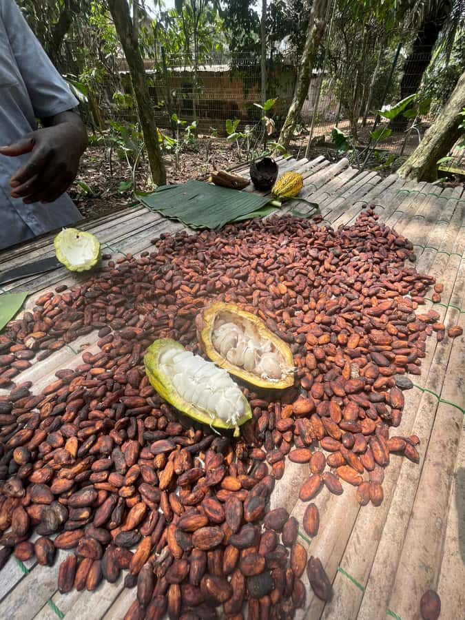 Ghana: 3 Days Sightseeing - Booking flexibility and guide support