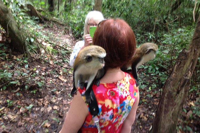 Guiding Tours In Ghana/West Africa - Key points to know before booking
