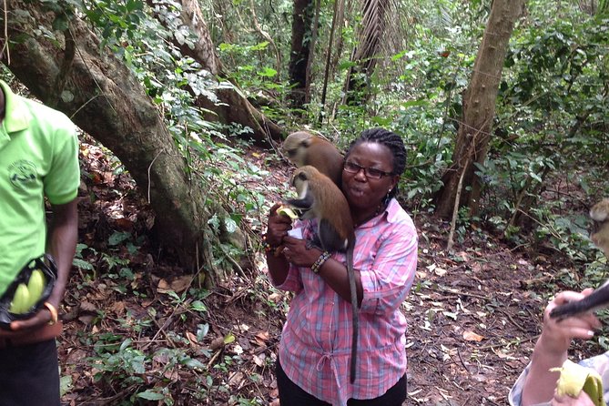 Guiding Tours In Ghana/West Africa - Days 3 and 4: Cocoa, castles and the difficult Atlantic past
