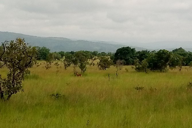 Half-day Accra Safari Tour - Climbing the ancestral hills and caves