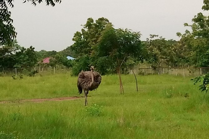 Half-day Accra Safari Tour - Who will enjoy this tour most?