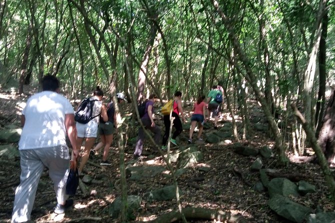 Half-day Accra Safari Tour - Reaching Shai Hills Resource Reserve
