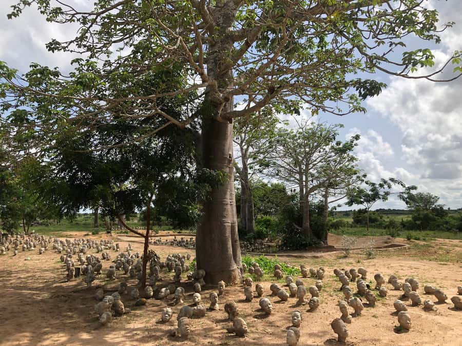 Half Day Tour of Nkyinkyim Museum - The Museum’s Clay and Cement Storytellers