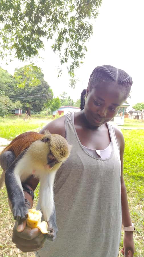 Hike Mount Afadjato and Visit Wli Falls and Monkey Sanctuary - Booking details worth checking before departure
