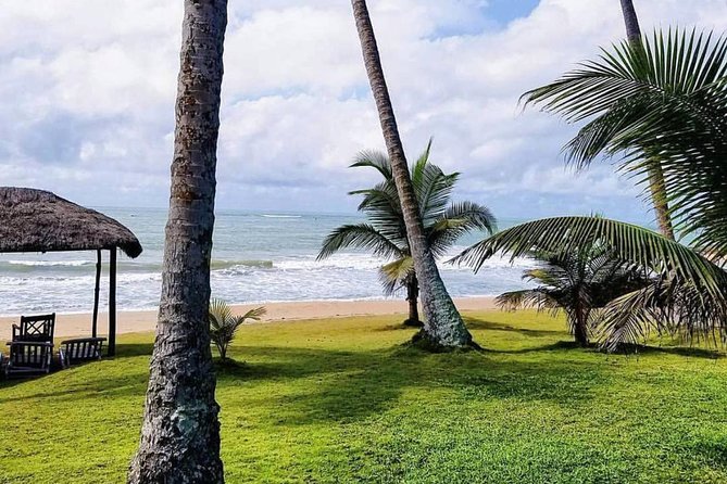Leisure trip on the coast of Ghana - Day 2: Kakum National Park and the rainforest canopy