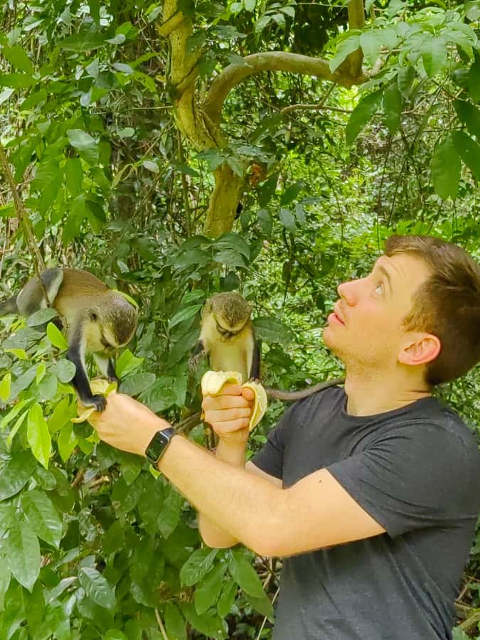Mount Afadjato, Wli fall, and Tafi Atome Monkey Sanctuary - Why this one-day Volta Region route works