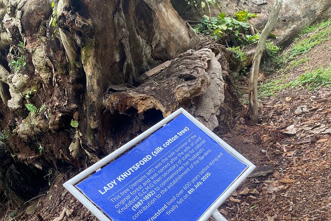 Private Aburi Hill Guided Tour - Peduase Lodge and the First Mountain View