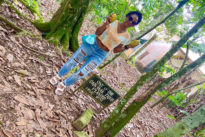 Private Aburi Hill Guided Tour - Timing, Comfort, and Practical Details