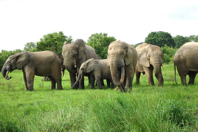 Private Multi-Day Ghana Tour about Culture History and Wildlife - 7 Days - Day 3: Beads, mountain views, and the long road to Kumasi