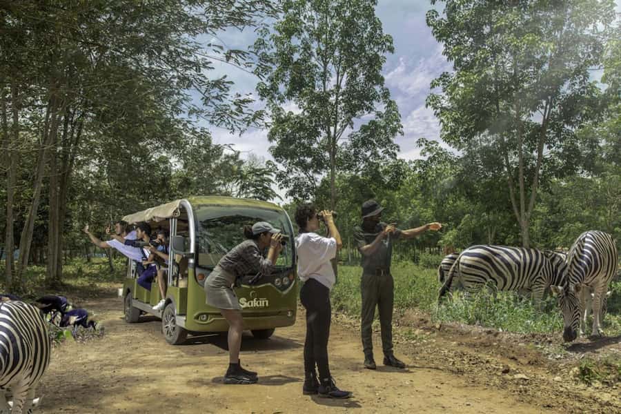 Safari Valley: Aburi Safari Valley Eco Resort Day Tour - Two hours of camp activities, with more choices than you can use
