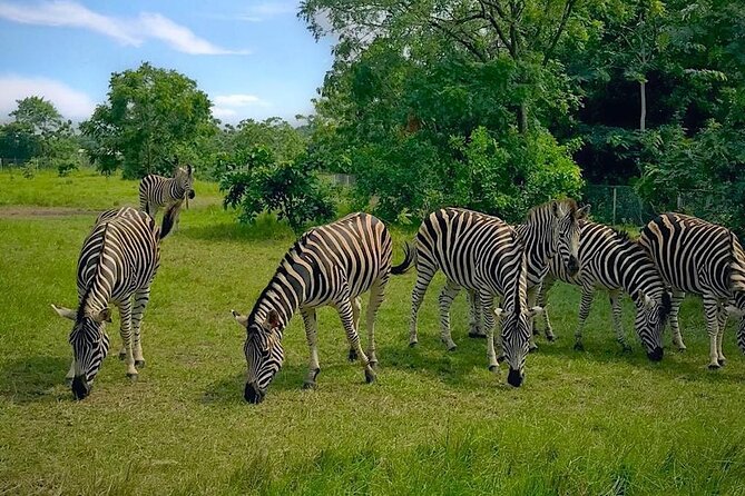 Shai Hills Half Day Accra Safari, Hike & see Animals - Key things to know before booking