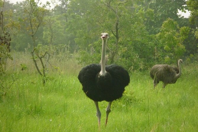 Shai Hills Half Day Accra Safari, Hike & see Animals - Why Shai Hills works so well from Accra
