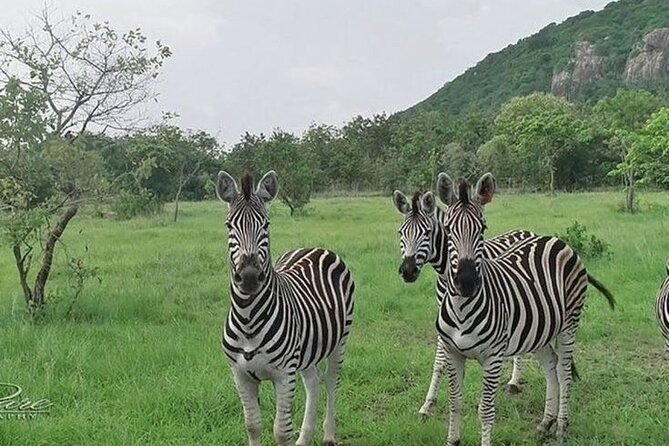 Shai Hills Half Day Accra Safari, Hike & see Animals - Getting from Kotoka Airport to the reserve