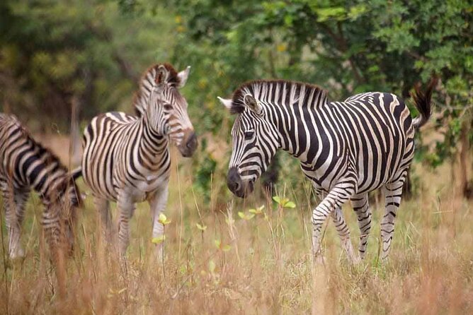Shai Hills Mini Safari & Akosombo Boat Cruise Tour - Why This Day Trip Works From Accra